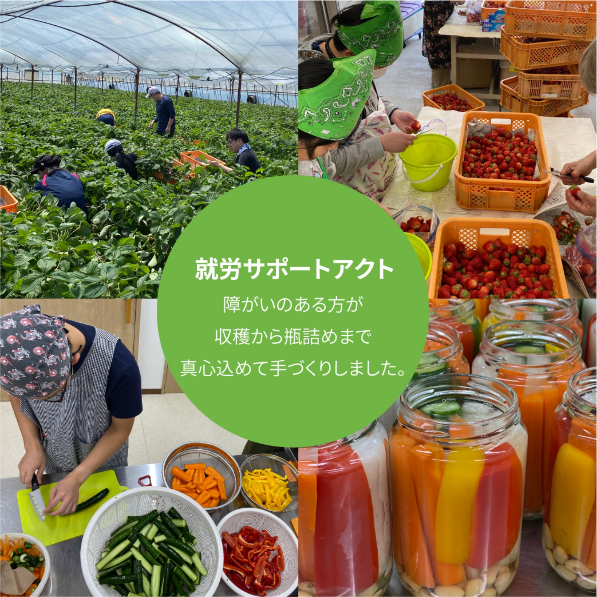 岡崎きく工房