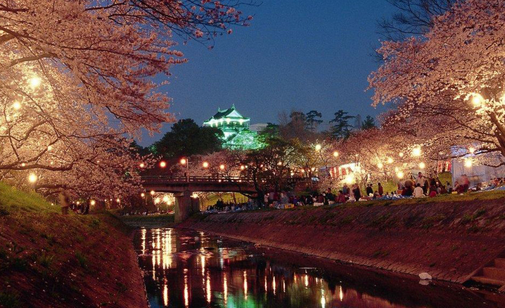 岡崎城下の桜と春の花
